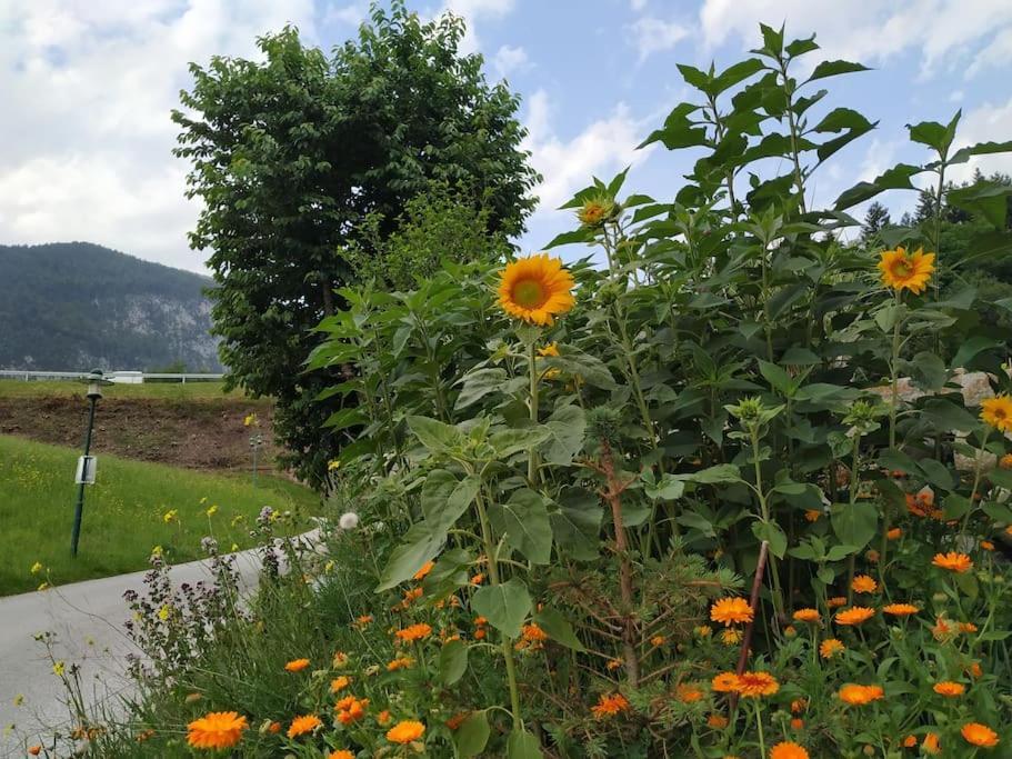 Upcycling Appartement Fischl - Nachhaltig Und Kreativ Wohnen Fuer Gross Und Klein Jenbach Exterior foto